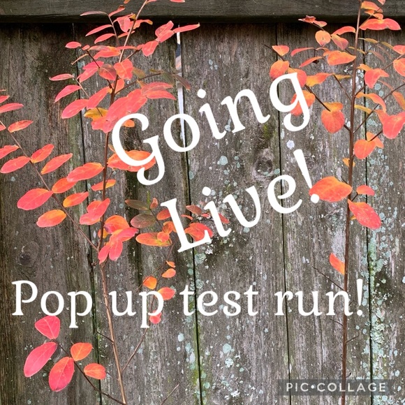 ❤️ LIKE FOR NOTIFICATIONS for live shows - Picture 15 of 15